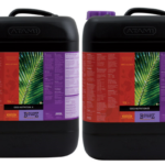 Atami B'CUZZ Coco Dünger A und B, je 10 L