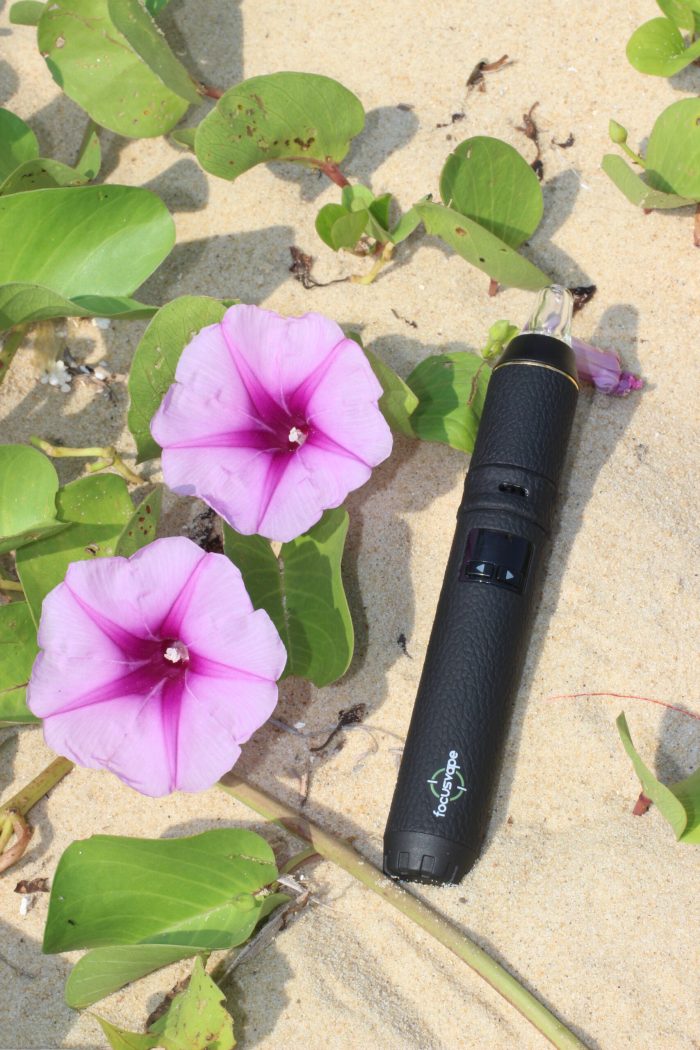FocusVape Pro S Vaporizer - Premium Set – Bild 4