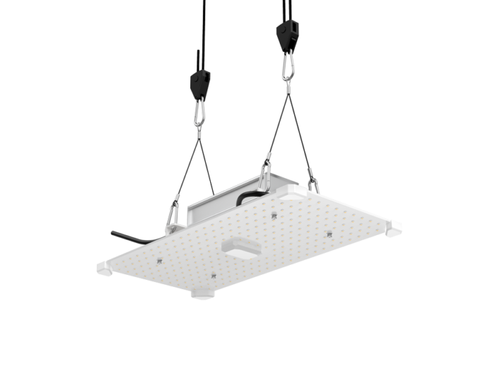 LUMii Black Blade 100 W LED – Bild 2