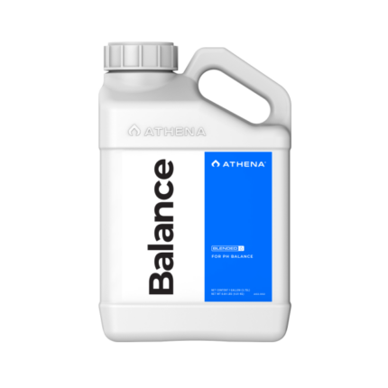 ATHENA Balance 3,79 L